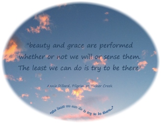 beauty and grace are performed whether we will of sense them...the least we can do is try to be there Annie Dillard