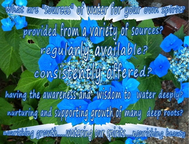 watering our spirits having a variety of sources Nurturing Thursdays